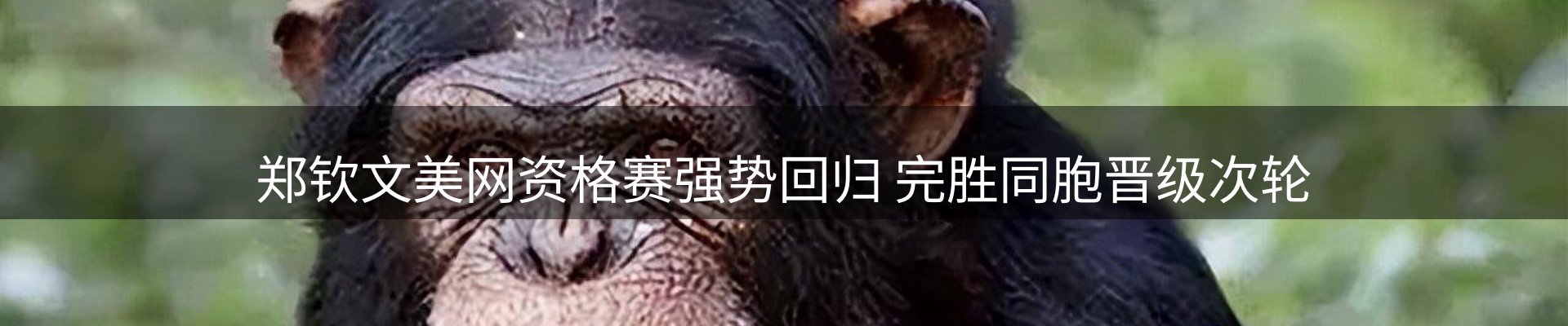 ued要闻